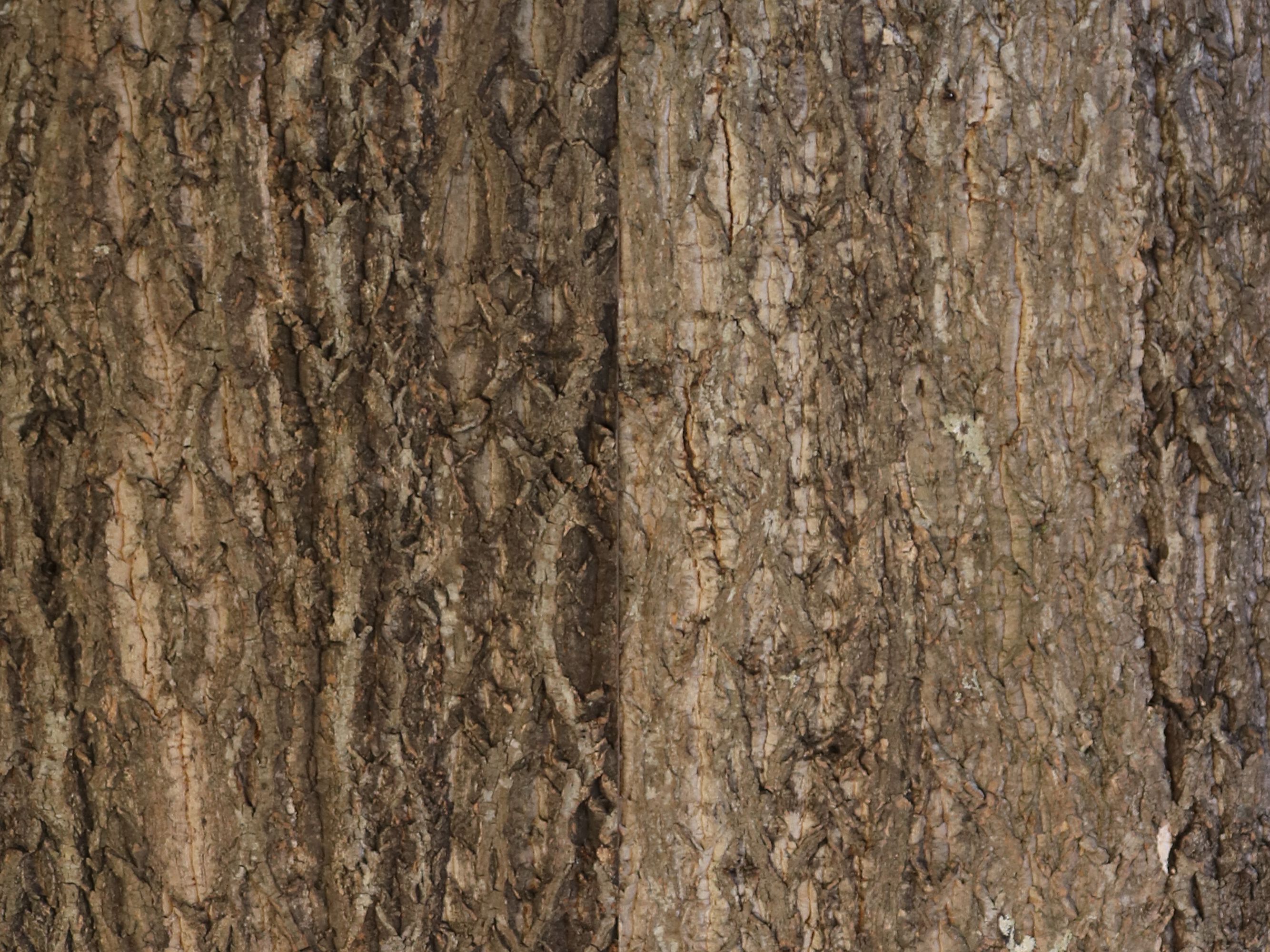 Покрытие из пробковой коры Freund GmbH ARCH-00124799 - Вид №2