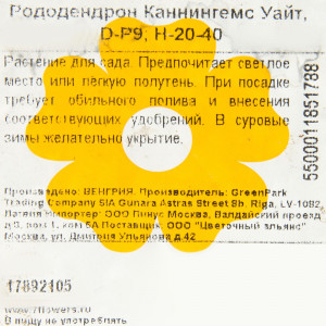 17892105 Рододендрон Каннингемс Уайт P9