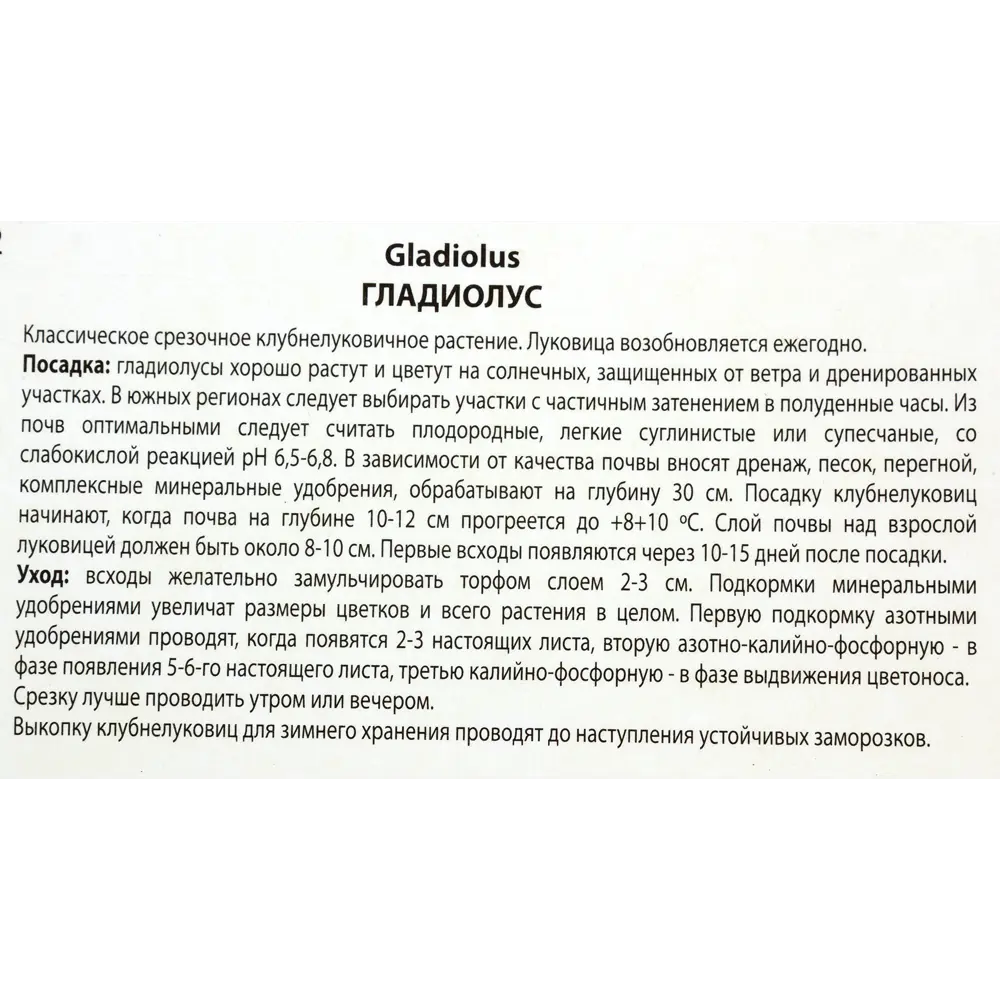 Гладиолусы крупноцветковые «Грин Стар», размер луковицы 10/12, 1 шт. 82118684 STLM-2114361 ПОИСК  - Вид №2