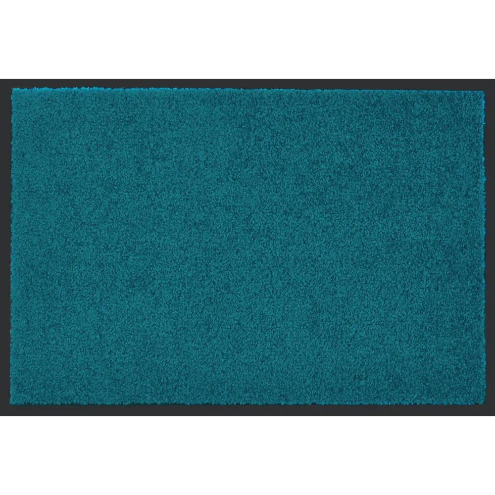 Коврик придверный полиамид Wash/Clean 40x60 см цвет бирюзовый 84835977 STLM-2018029 Santreyd 