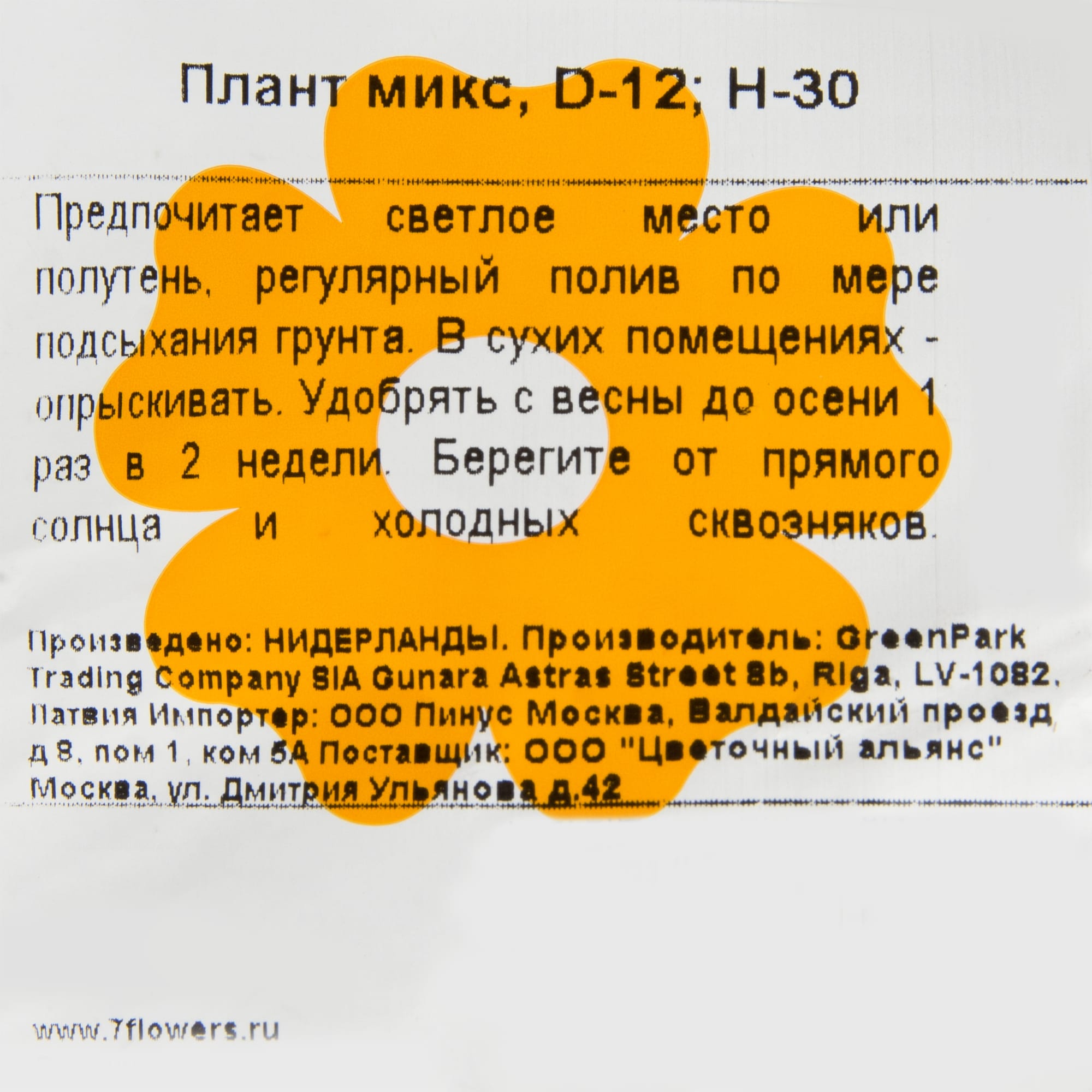 18785969 Плант микс 12х40 см Santreyd  - Вид №2