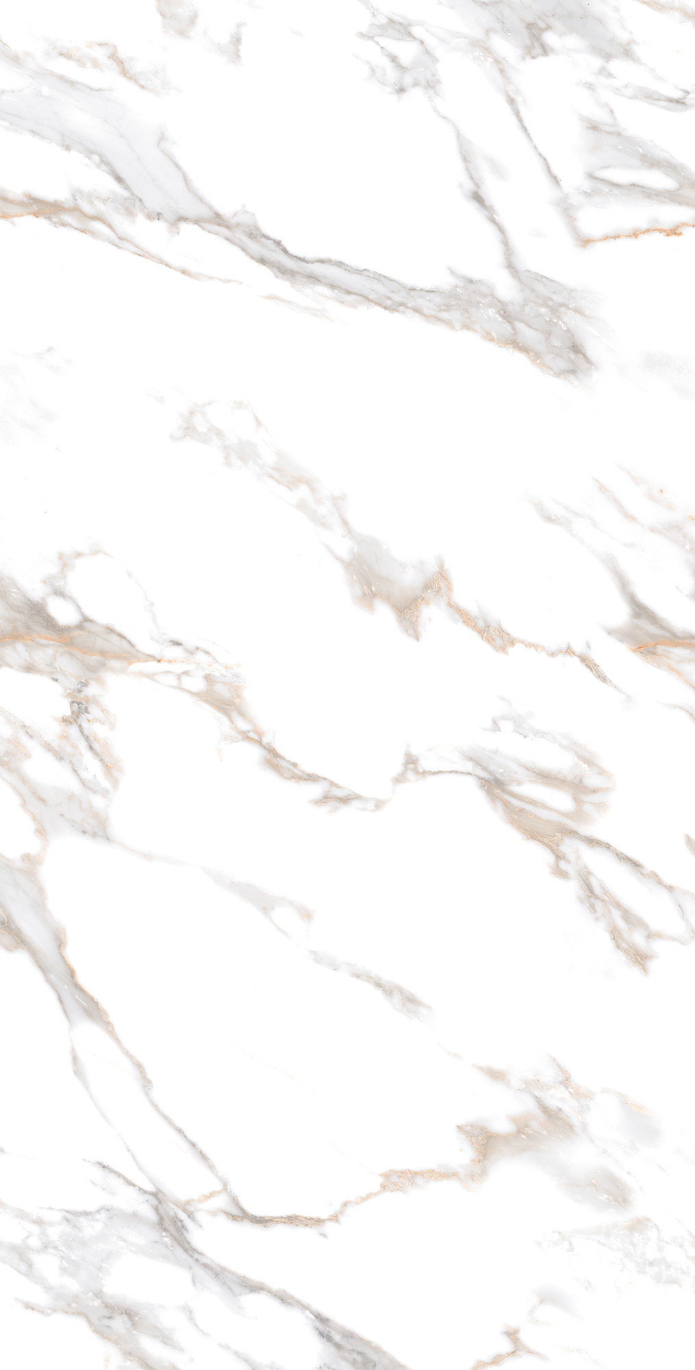 Керамогранит CALACATTA GOLD 60х120 Arcadia Ceramica CR4019-A - Вид №2