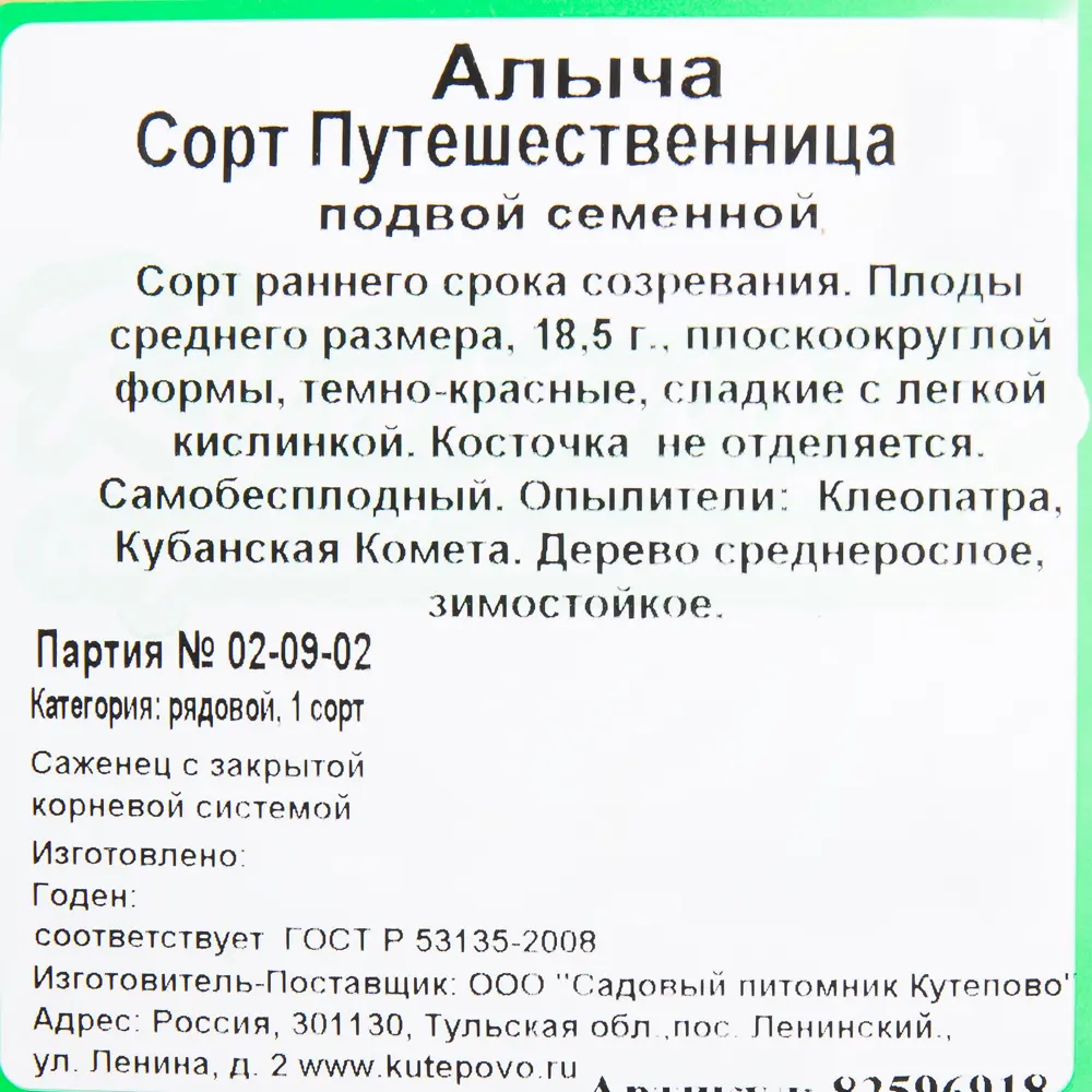 Алыча «Путешественница» C4 высота 140 см 82596918 STLM-2040876 Santreyd  - Вид №1
