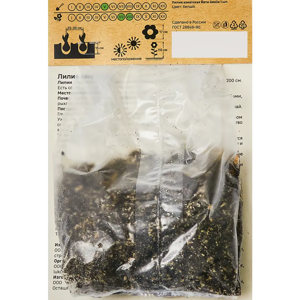 Лилия Geolia азиатская Йети STLM-2162769 - Вид №1