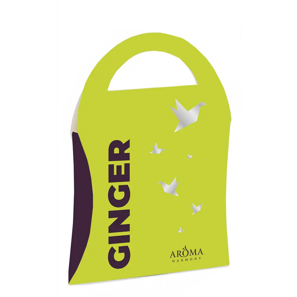Саше ароматизированное Ginger 10 г AROMA HARMONY STLM-2107733