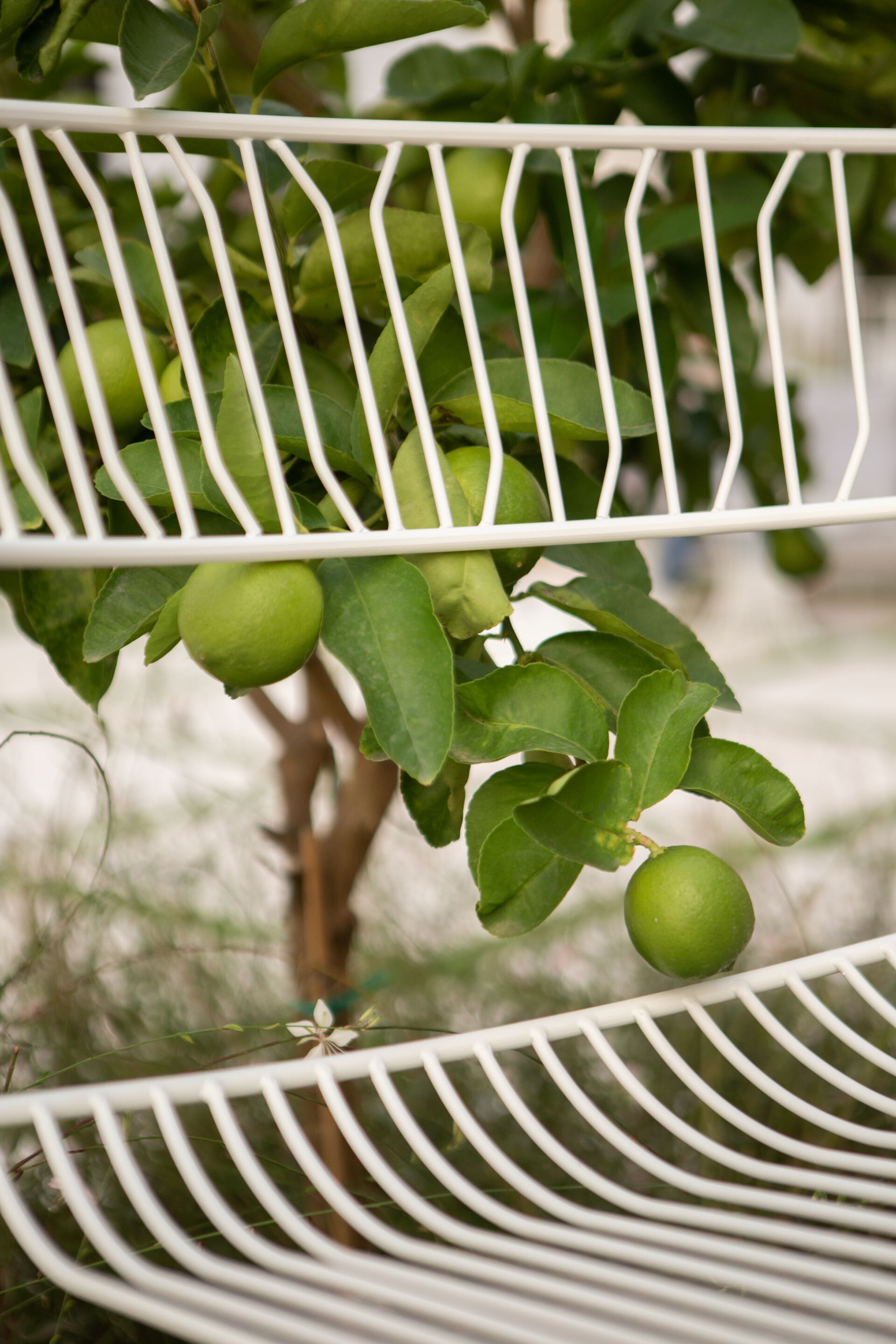 Стальной штабелируемый садовый стул с порошковым покрытием iSimar Мартини ARCH-00089273 - Вид №13