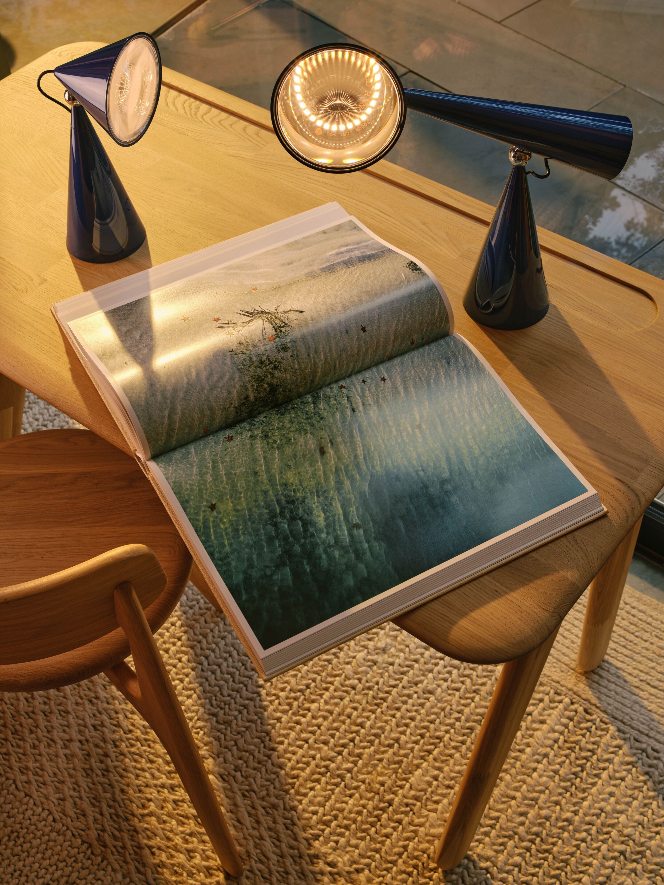 Светодиодная настольная лампа с батарейным питанием Tom Dixon POSE TASK LED ARCH-00076902 - Вид №13