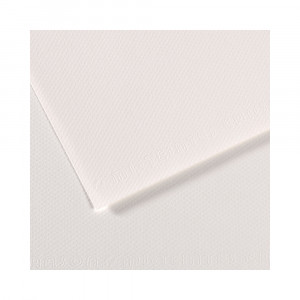 200271107 Бумага для пастели Mi-Teintes 160 г/м2 75 х 110 см лист №335 белый Canson