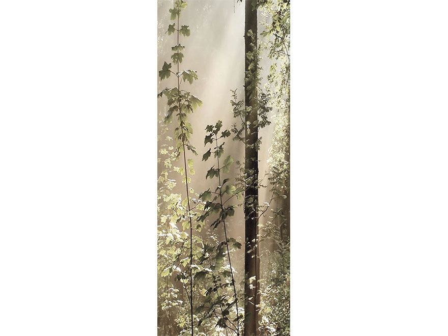 Наклейка на дверь Creativespace крышка двери ARCH-00053349 - Вид №1