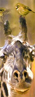 237 Закладка объемная 3D №1 Жираф Santreyd 