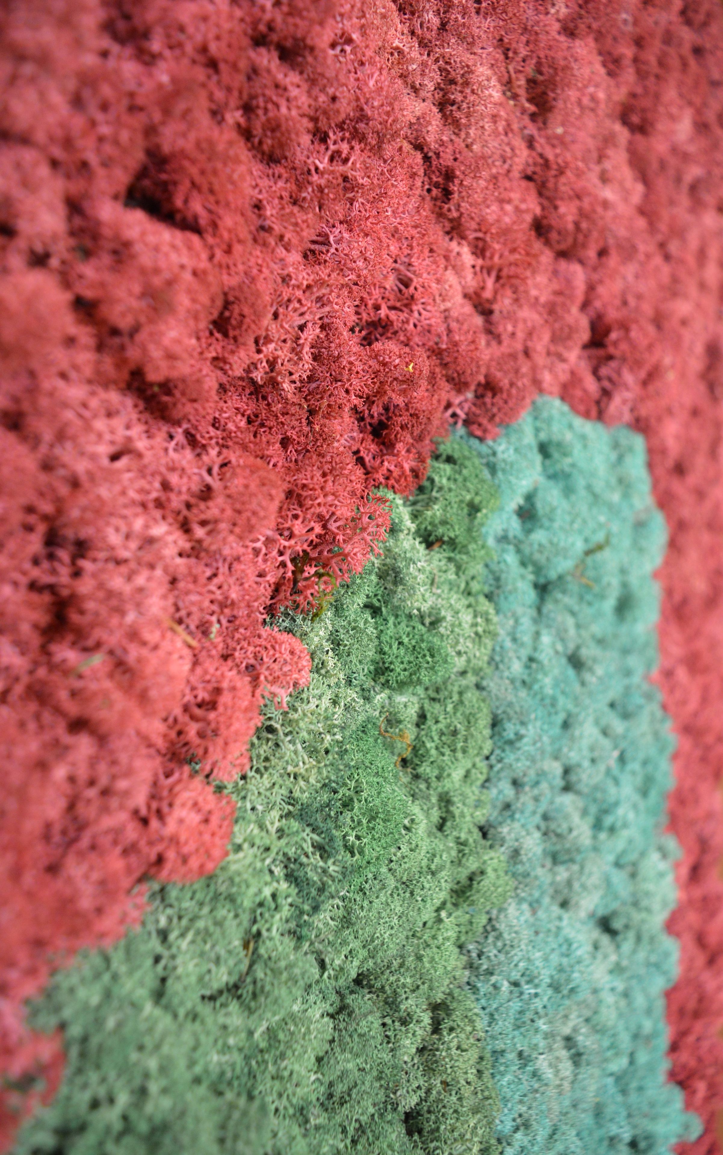 Акустическая панель из мха GREENMOOD FRAMED SYNERGY ARCH-00061647 - Вид №16