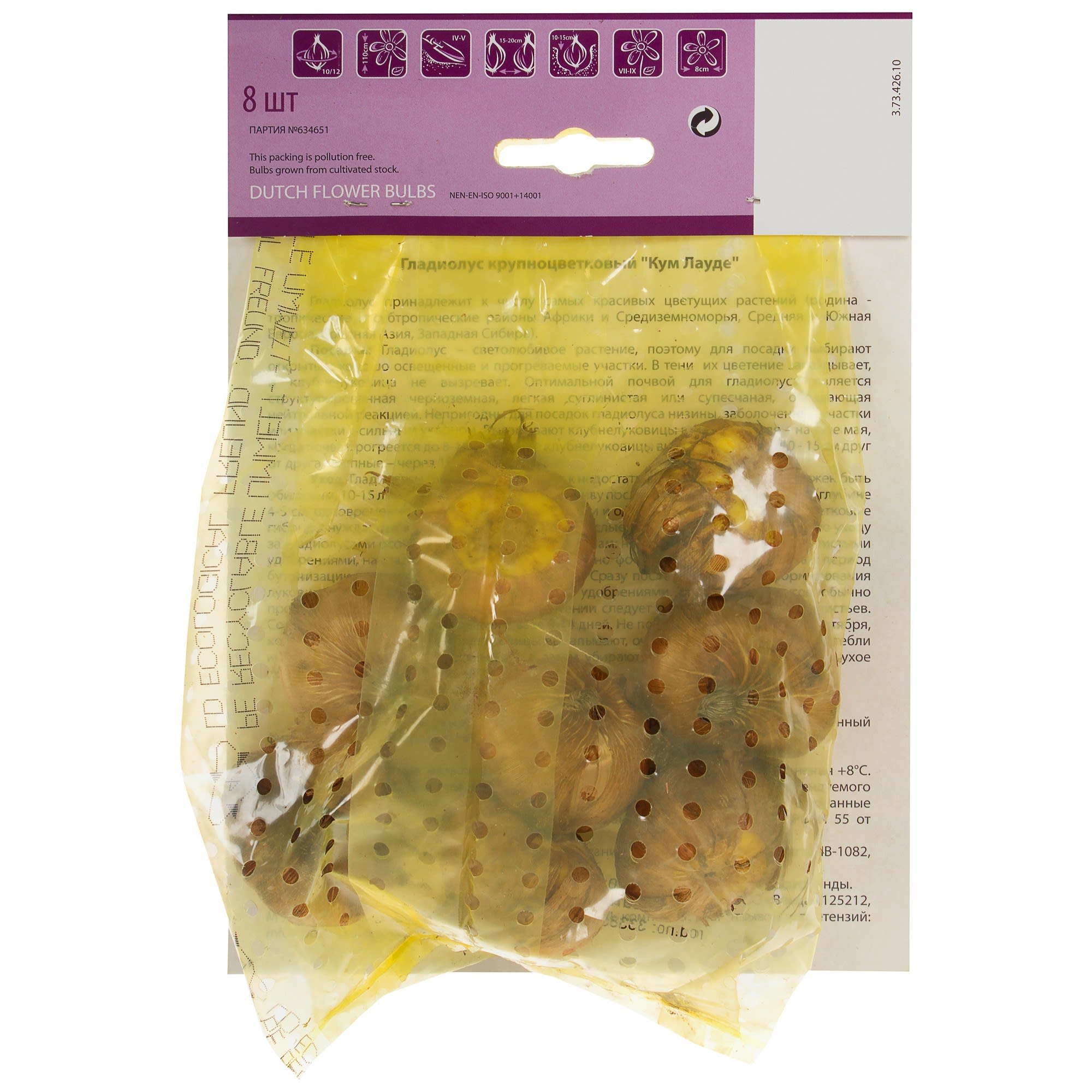 81945872 Гладиолус крупноцветковый «Кум Лауде» Santreyd  - Вид №1