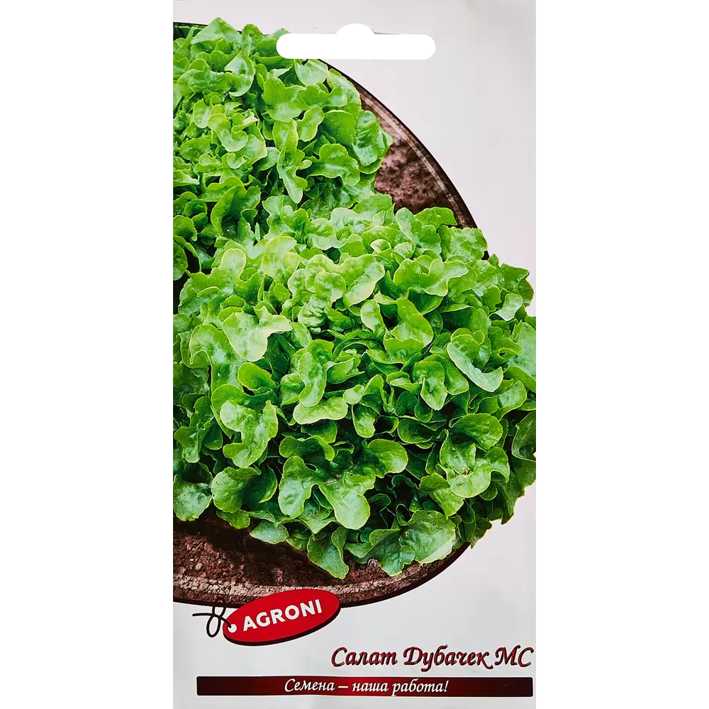 Семена пряных трав Agroni салат Дубачек МС 87030287 STLM-2085831 