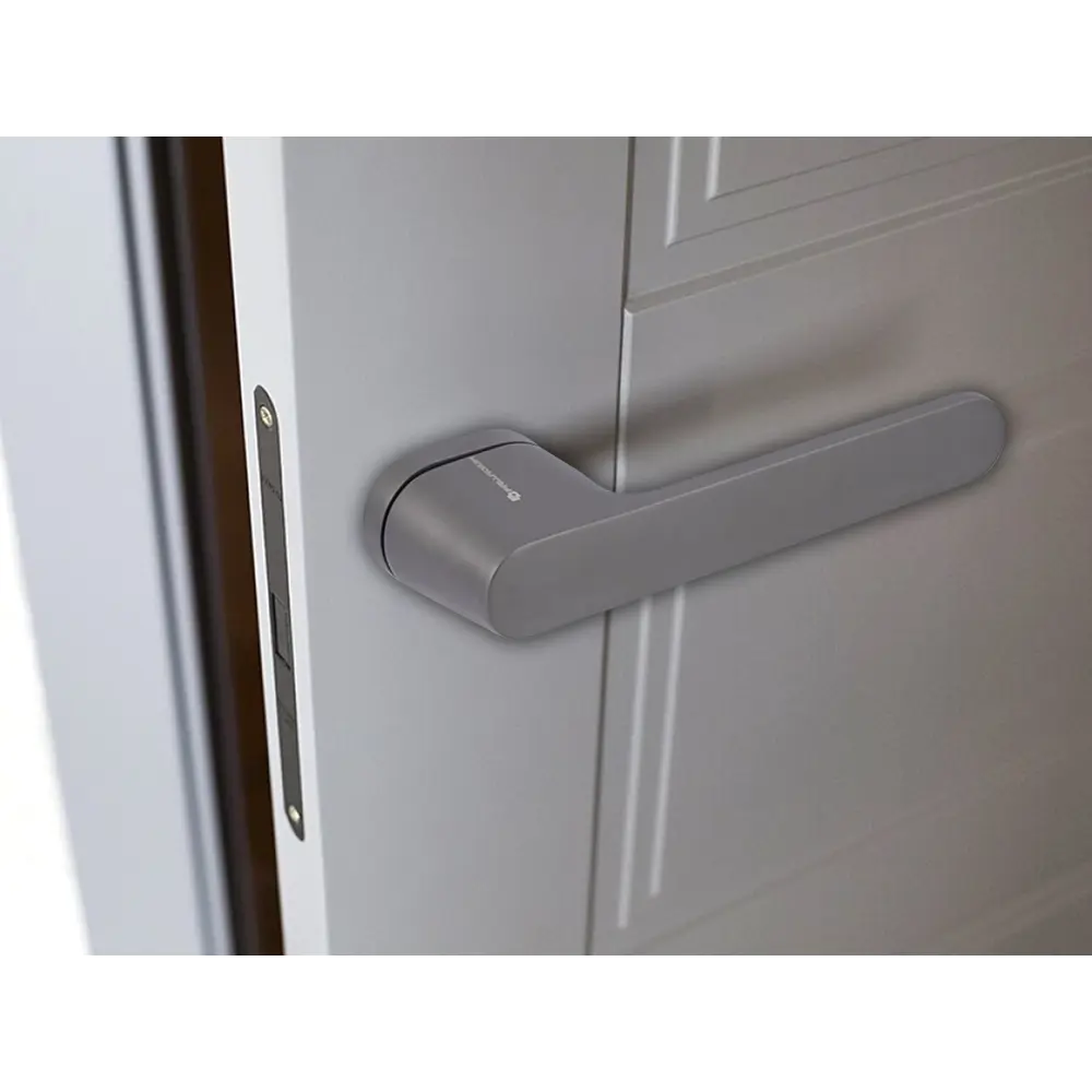 Дверные ручки Palladium Stenberg без запирания цвет графит STLM-2010112 - Вид №7