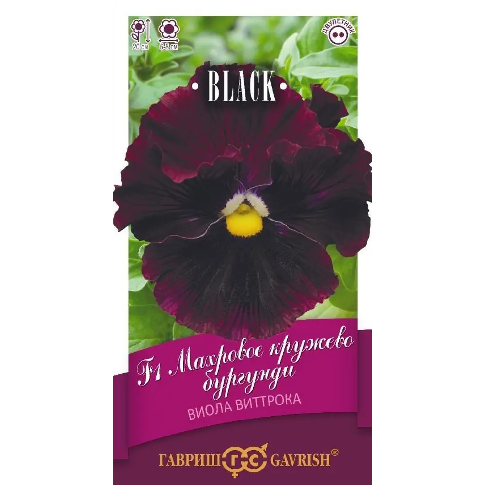 Семена фиалки Блэк виола Махровое кружево бургунди 4 шт. 89401736 ГАВРИШ STLM-1568898