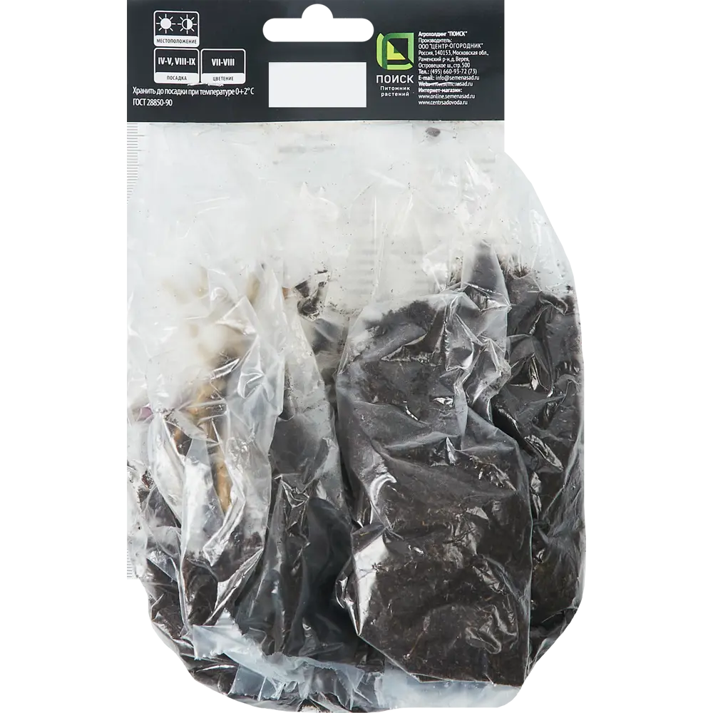 Хоста гибридная Расберри Сандей ПОИСК STLM-2118597 - Вид №1