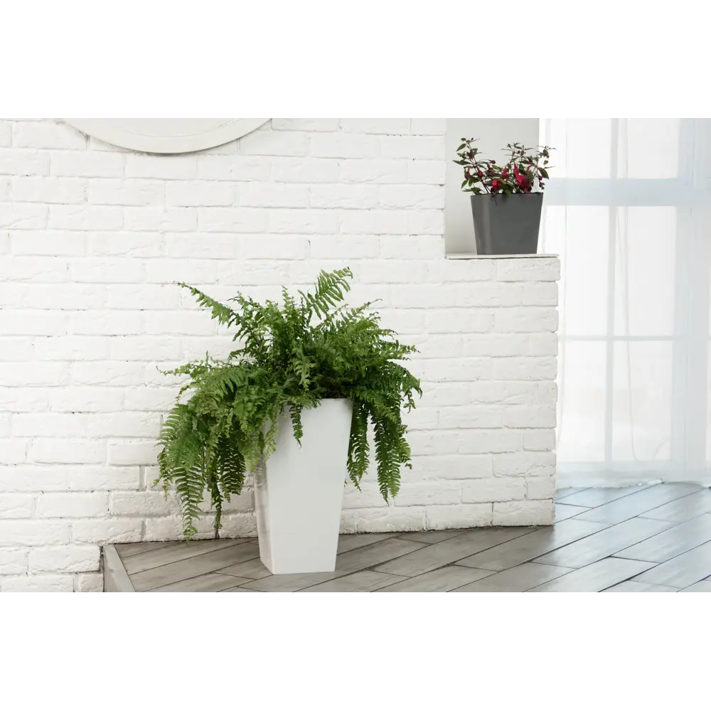 INGREEN London Cube - элегантный кашпо с системой аэрации 89396881 STLM-1456440 - Вид №4