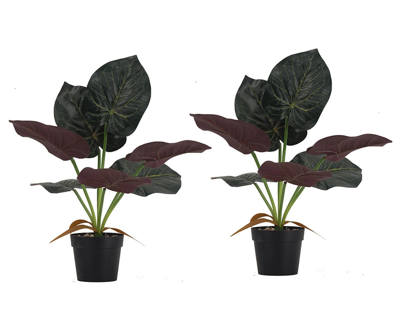 90433785 Искусственные декоративные растения Алоказия SA11652 набор 2 предмета STLM-0224173 ГЛАСАР