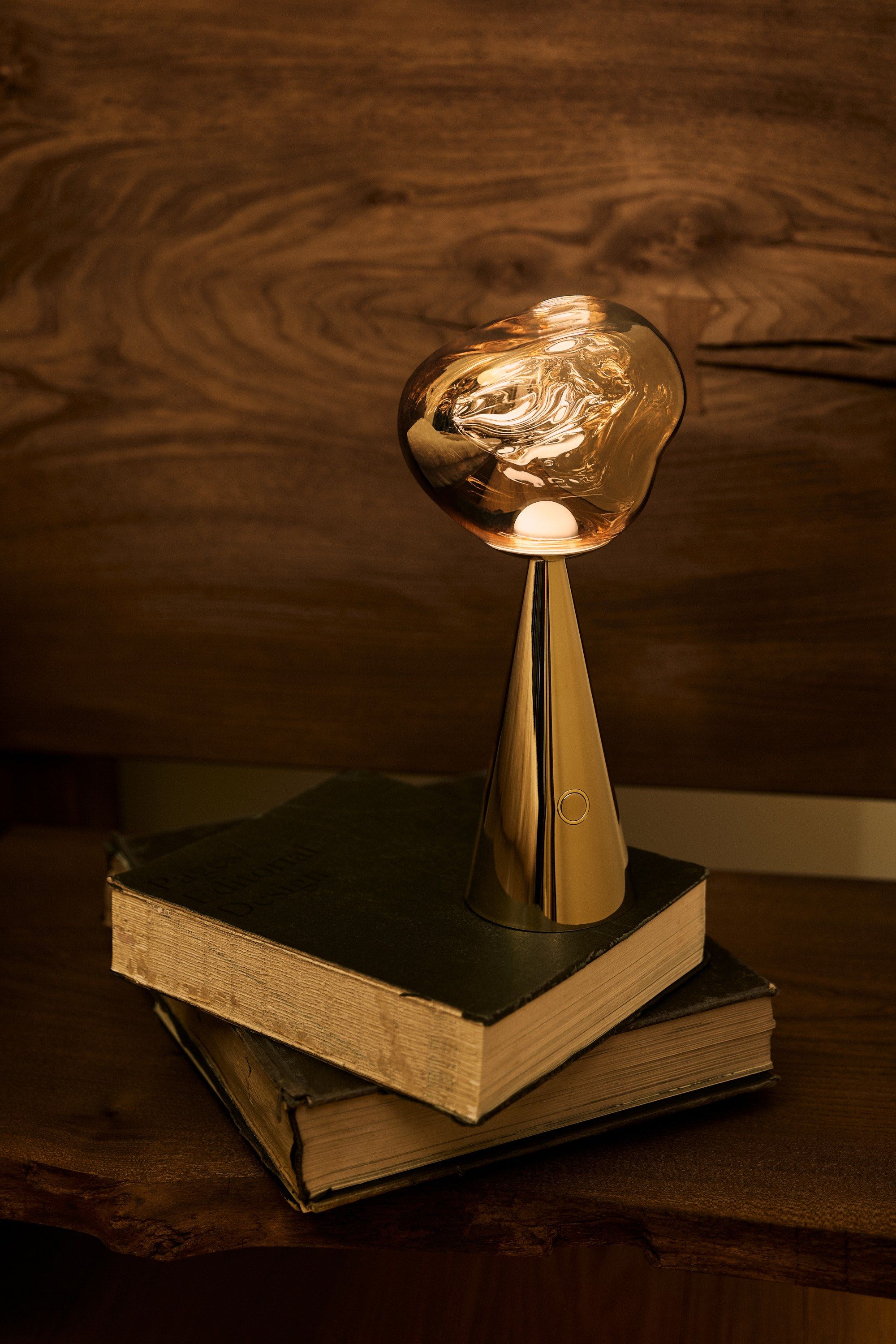 Светодиодная настольная лампа с батарейным питанием Tom Dixon Melt ARCH-00056851 - Вид №20