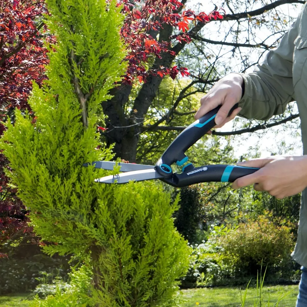 Ножницы садовые Gardena PrecisionCut Boxwood для кустарников STLM-2142446 - Вид №9