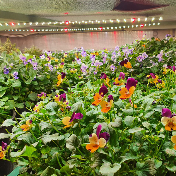 3553 Комплект Quantum line 115 см LAB.Space  - Вид №14