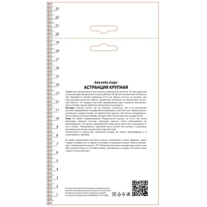 Астранция крупная Шегги 89452208 STLM-2079325