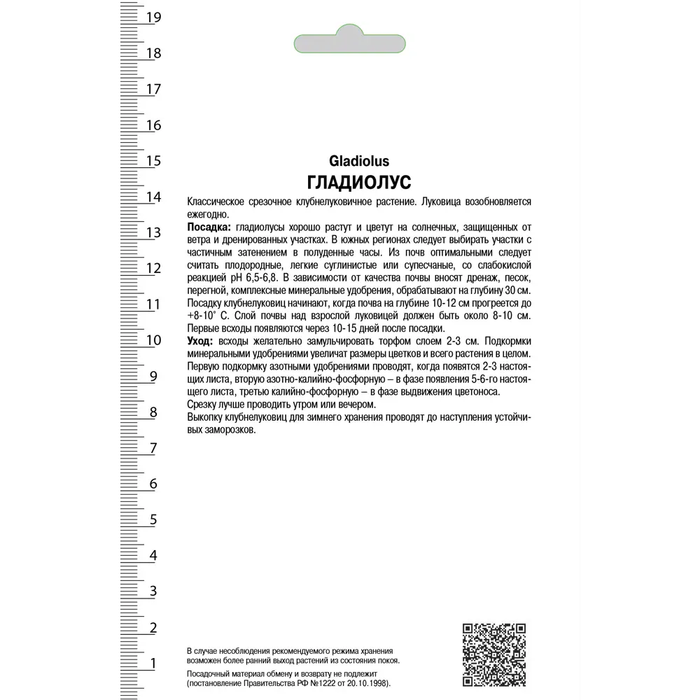 Гладиолус крупноцветковой Пламтарт 10/12, 3 шт 81945444 STLM-2187592 ПОИСК  - Вид №1