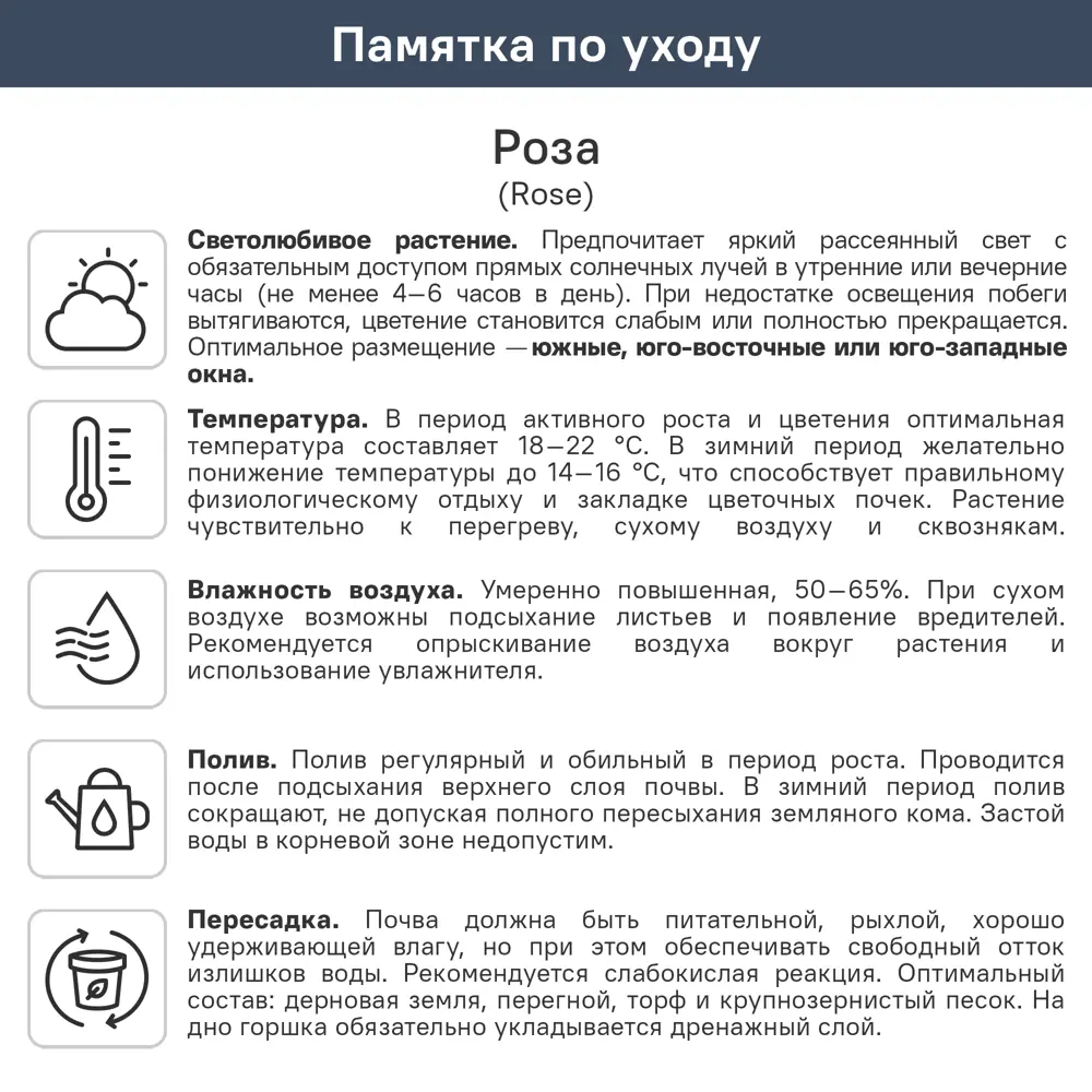 Роза микс ø10.5 h25 см 89453853 STLM-2101007 Santreyd  - Вид №1