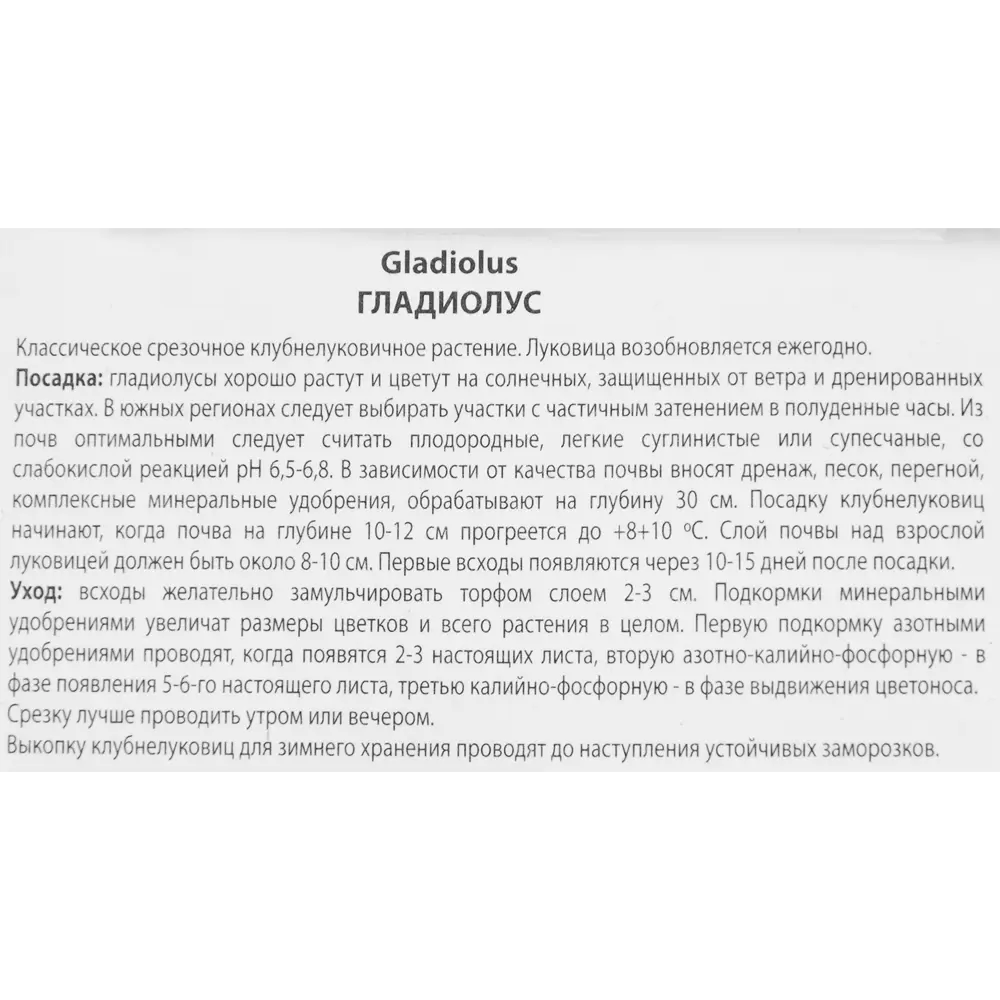 Гладиолус крупноцветковый Багги, 3 шт 86410042 STLM-2079124 ПОИСК  - Вид №2