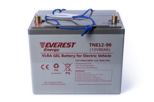 17376462 Тяговая аккумуляторная батарея TNE 12-90 EVEREST Energy