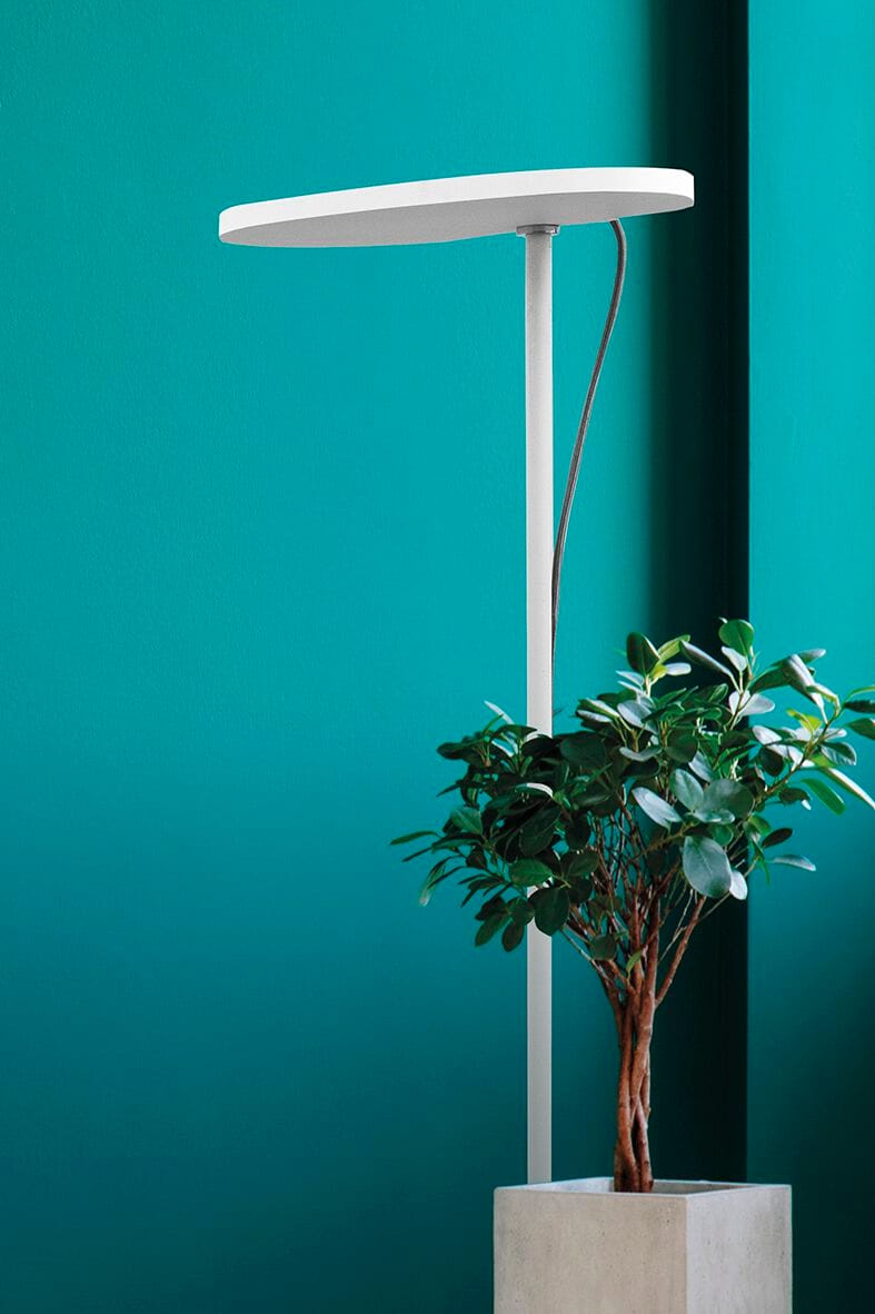 Алюминиевый светодиодный торшер с регулируемой яркостью Rossini Illuminazione BALA ARCH-00138776 - Вид №1