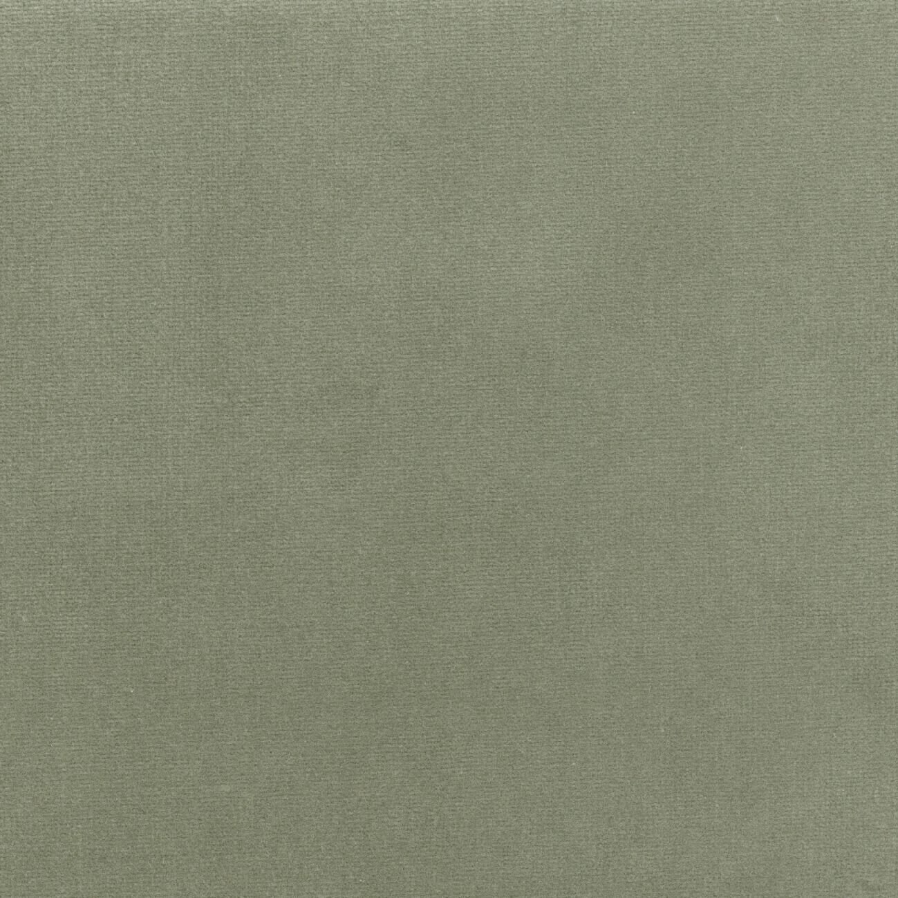 Бархатная однотонная ткань Élitis Palatine ARCH-00143253 - Вид №28