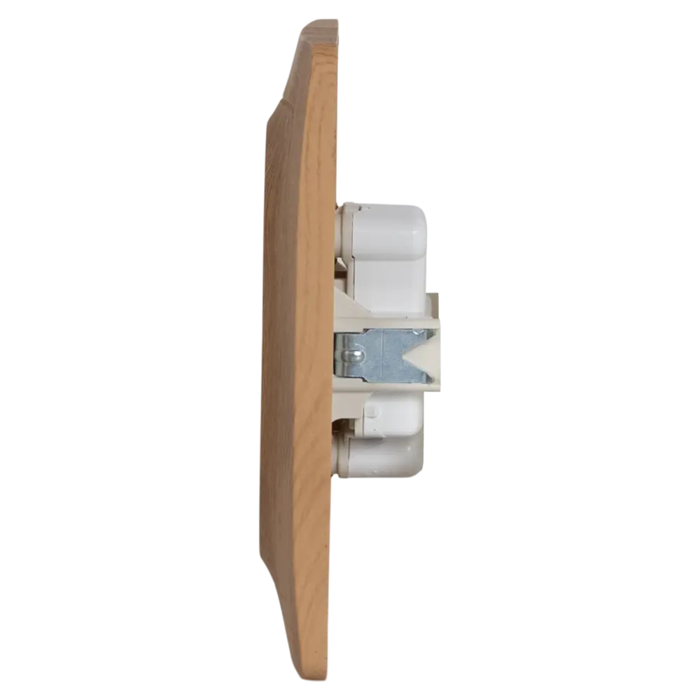 Розетка двойная встраиваемая Systeme Electric Blanca без заземления цвет ясень STLM-2174634 - Вид №3