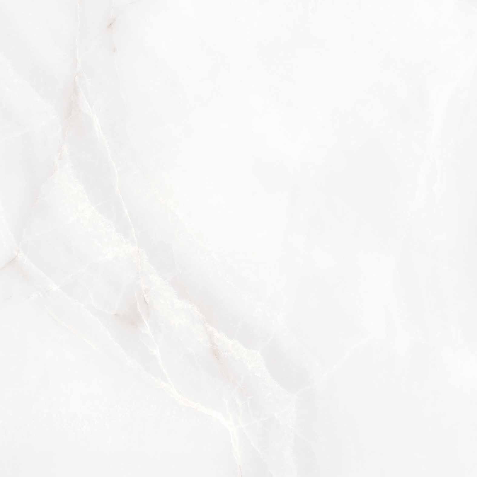 Керамогранит FEATHER ONYX 60х60 Arcadia Ceramica RT6004-A  - Вид №10