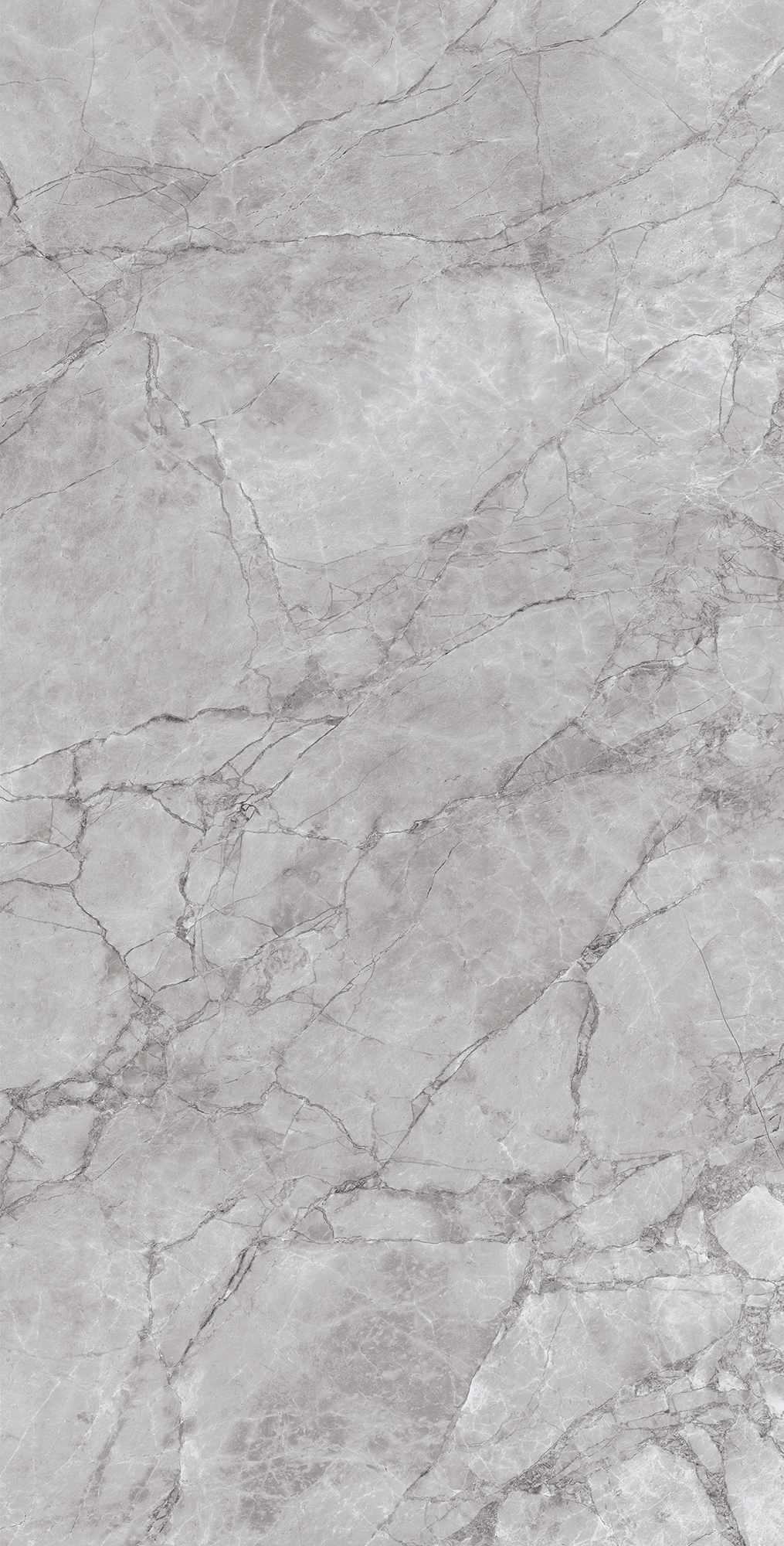 Керамогранит ARCTIC GREY 60х120 Arcadia Ceramica CR4012-A - Вид №5