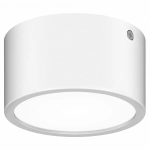 Уличный светодиодный светильник Lightstar Zolla 380164 LIGHTSTAR ZOLLA 220910 Белый