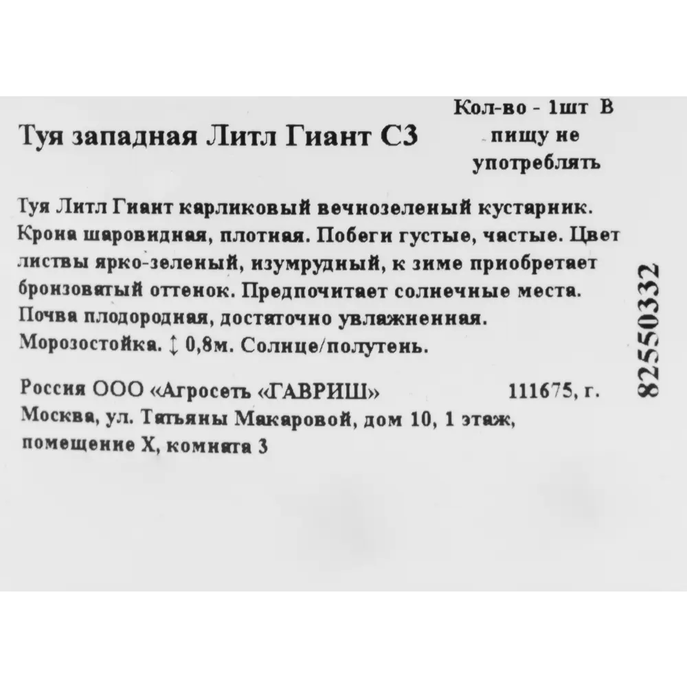 Туя западная «Литл Гиант» 19x20 см ГАВРИШ STLM-2012806 - Вид №1