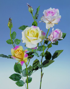 2544 755 a2 Ложная роза, 1 цветок, 2 бутона, 85 см, бежево-роза H-andreas