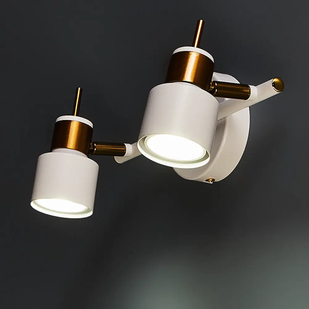 Arte Lamp Almach - поворотный спот для зонального освещения 82807713 STLM-0036319 - Вид №2