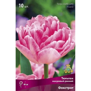 Луковицы тюльпана махрового раннего Фокстрот 10 шт. - разноцветные многолетники 89433467