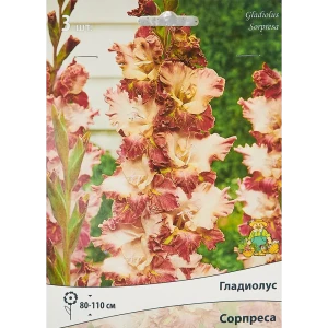 Гладиолус крупноцветковый Сорпреса, 3 шт 86410021 STLM-2205899