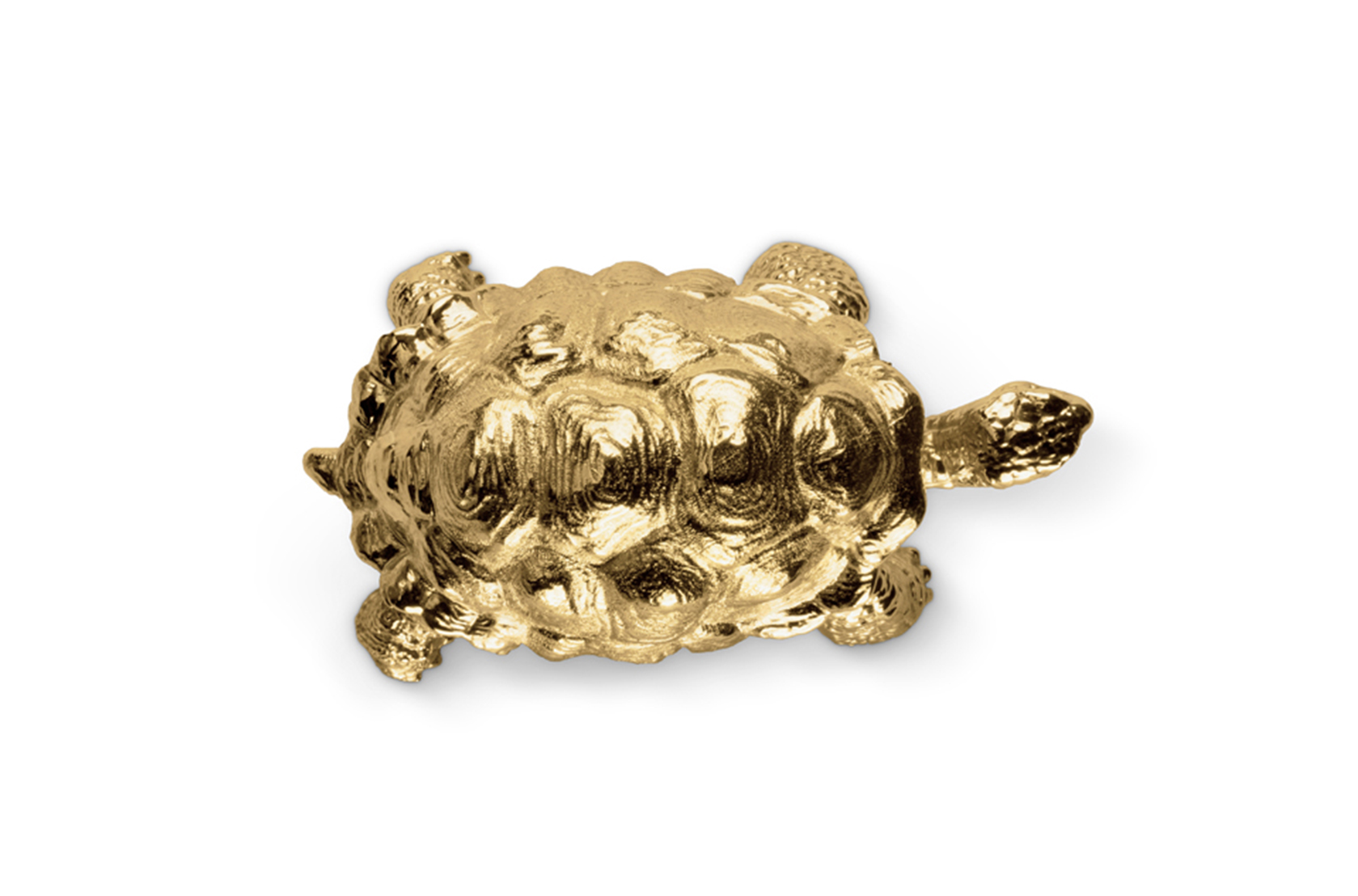 CIST830 Мебельные ручки Черепаха Circu  - Вид №3