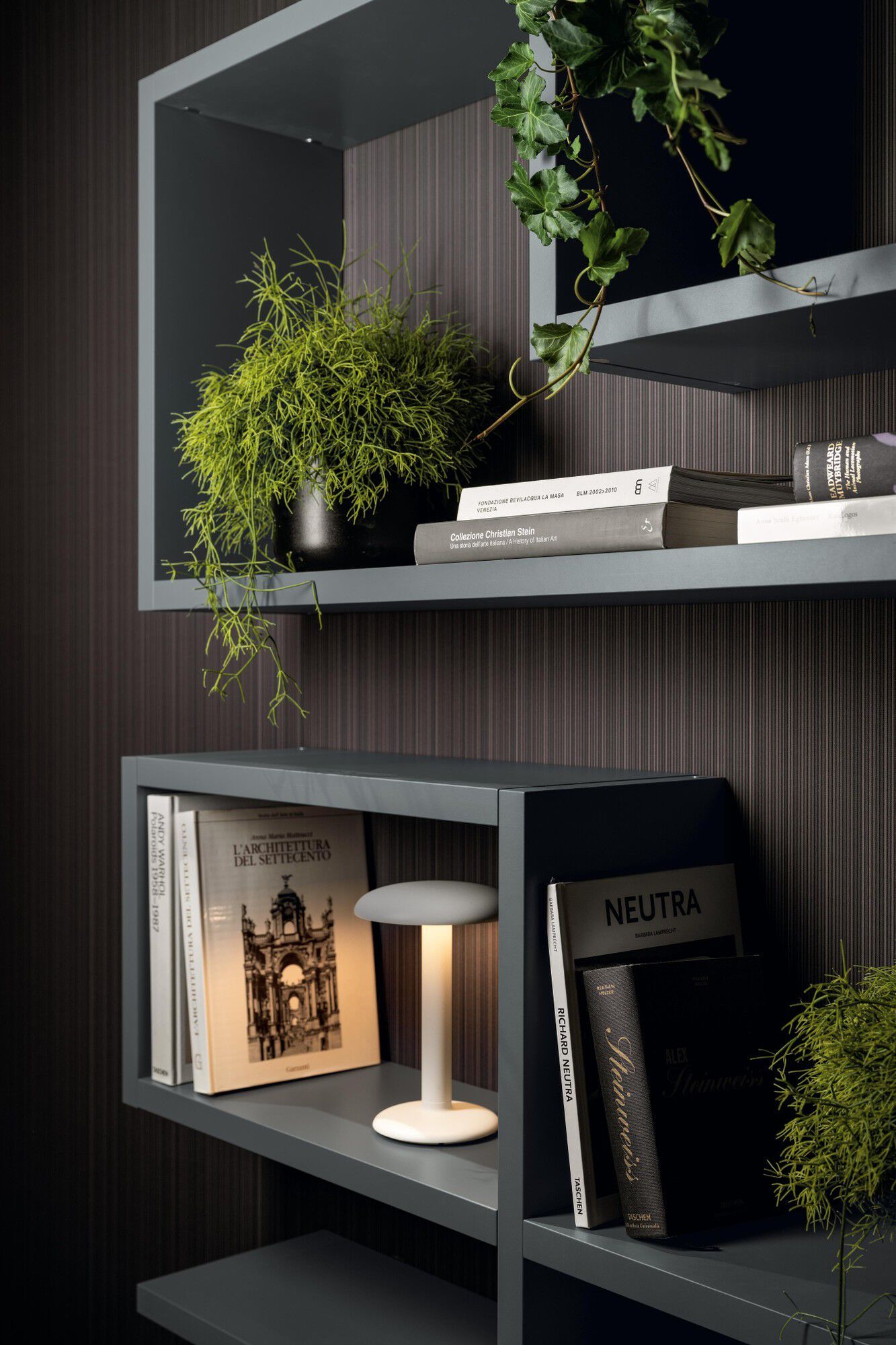 Деревянный подвесной книжный шкаф Lago LagoLinea ARCH-00011641 - Вид №1