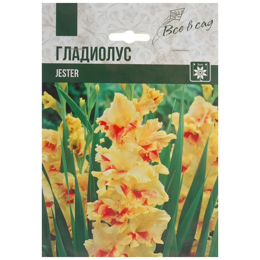 Гладиолус «Джестер» ВСЕ В САД STLM-2065435 - Вид №2