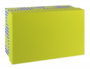 481850 Коробка подарочная "Лимоны", 21 х 14 х 8,5 см Made in Respublica*
