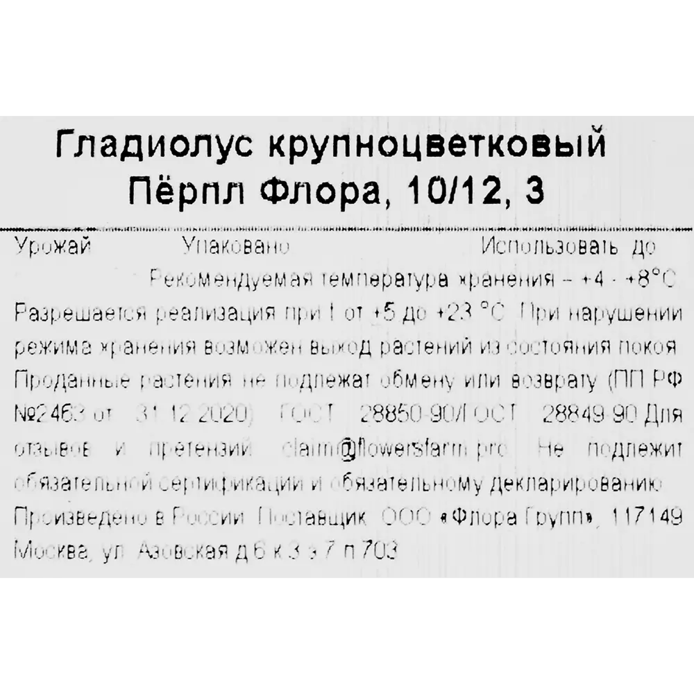 Гладиолус крупноцветковый Перпл Флора 86735664 STLM-2192798 Santreyd  - Вид №2