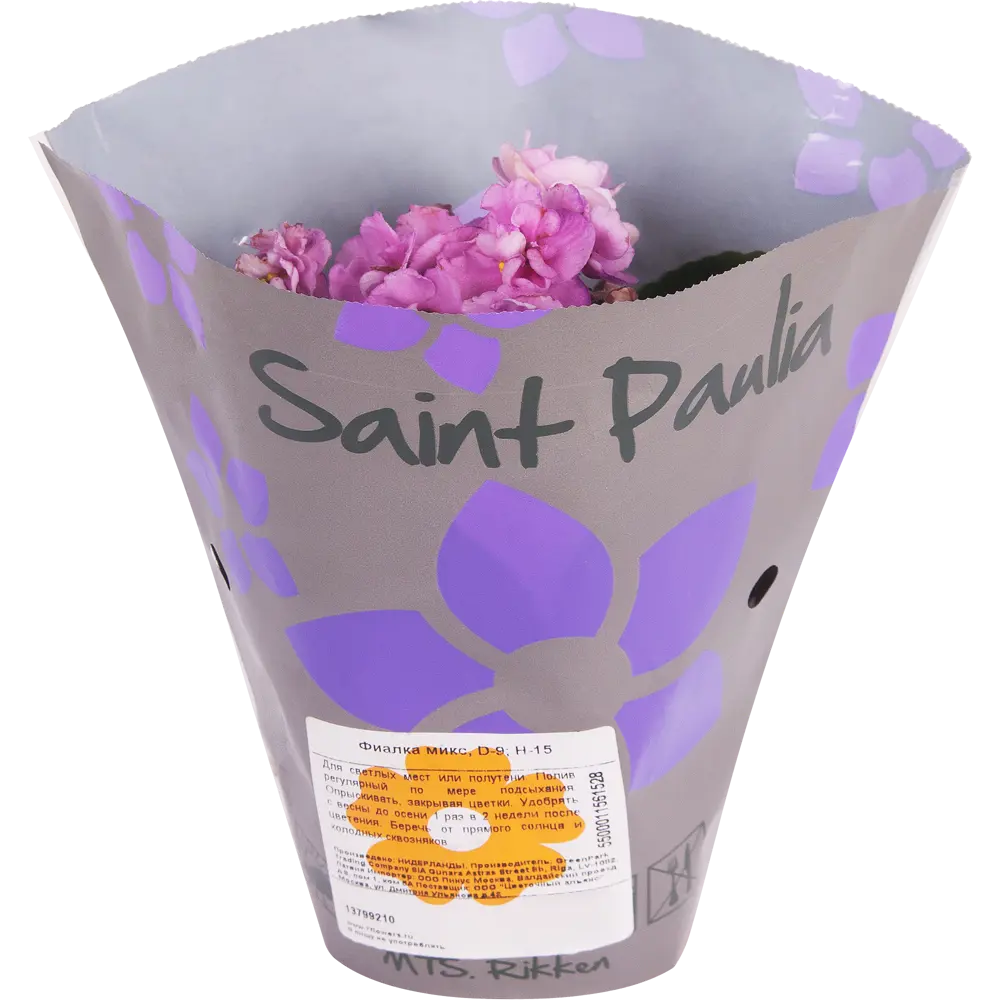 Фиалка микс 9х15 см 13799210 STLM-2208298 Santreyd  - Вид №3