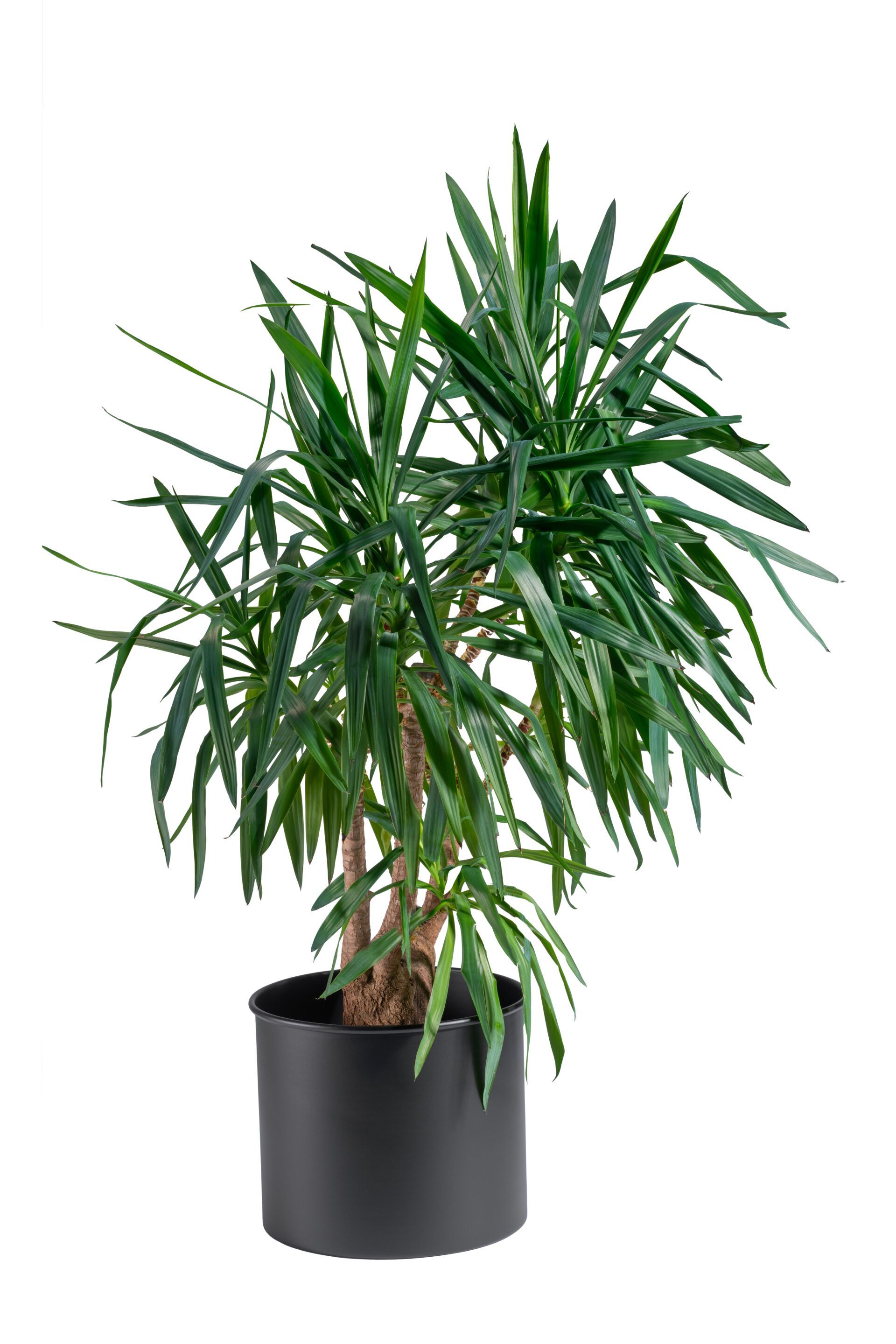 Алюминиевая круглая подставка для горшков GABER ZEUS ARCH-00037553 - Вид №1