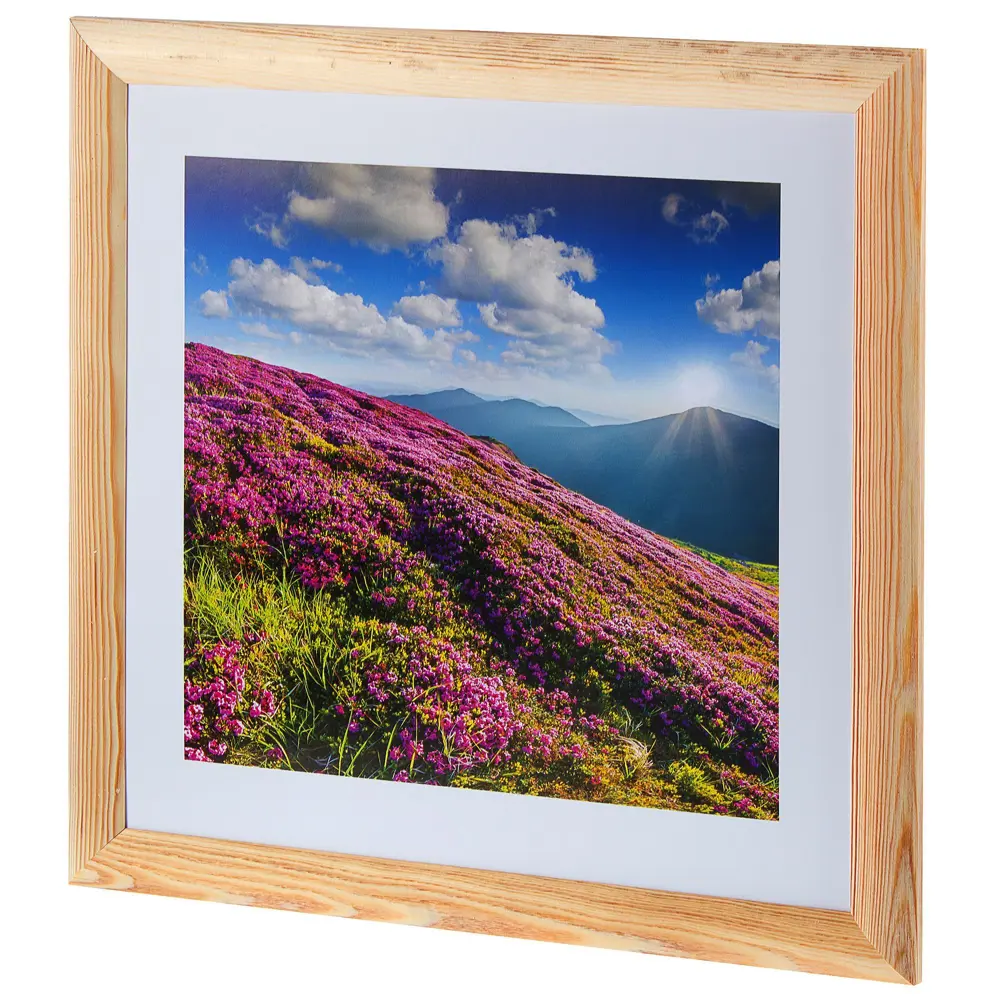 Постер в раме 40х40 см «Горные цветы» Santreyd STLM-2210192 - Вид №1