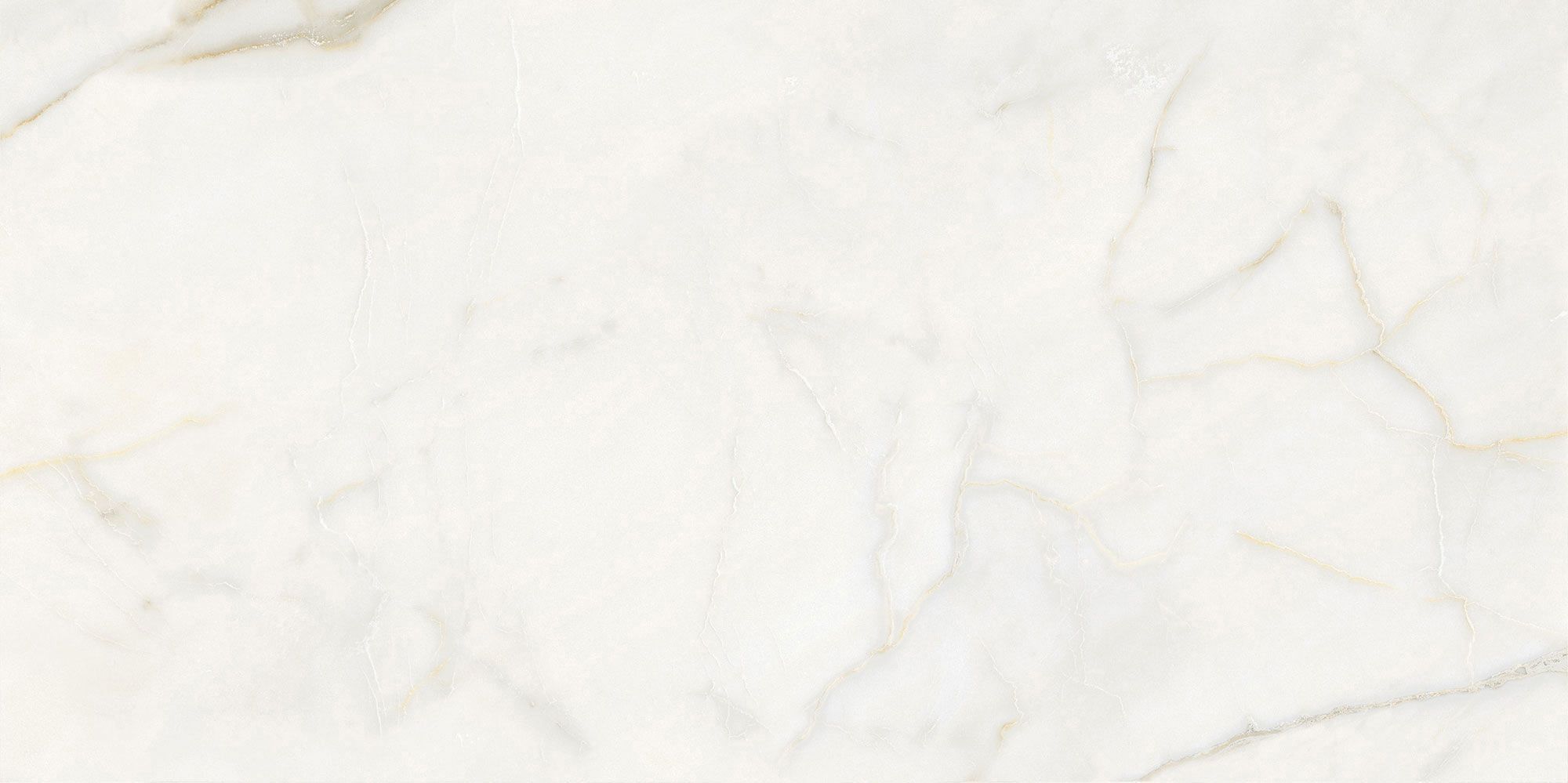 Пол / керамогранит с мраморным эффектом Italgraniti Marble Touch ARCH-00152884 - Вид №42